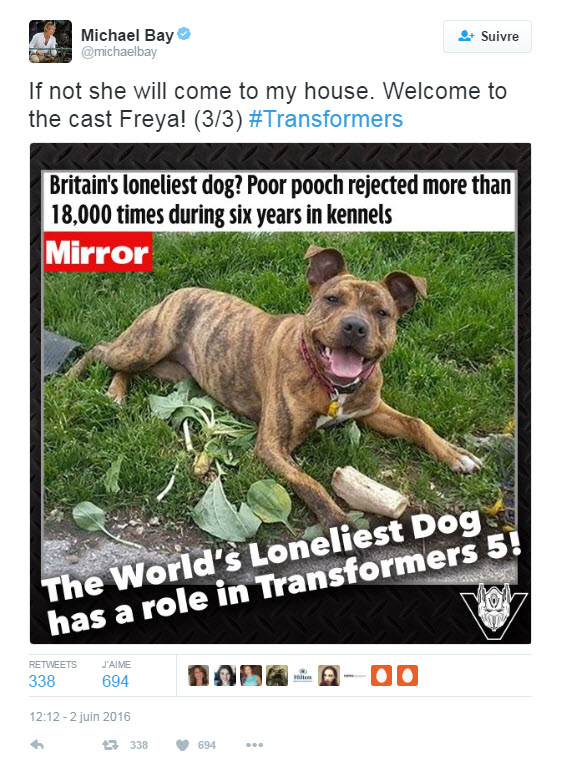 Illustration de l'article : Le chien "le plus seul de Grande-Bretagne" obtient un rôle dans « Transformers 5 »